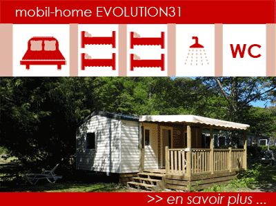 Tout savoir sur le mobile home EVOLUTION 31