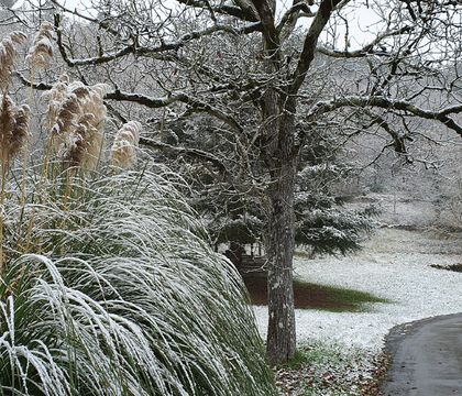 Snow at Camping le Moulin de David